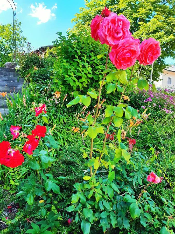 Hotel/Pension Rosengarten Franking エクステリア 写真